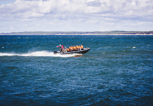 IMG 0102